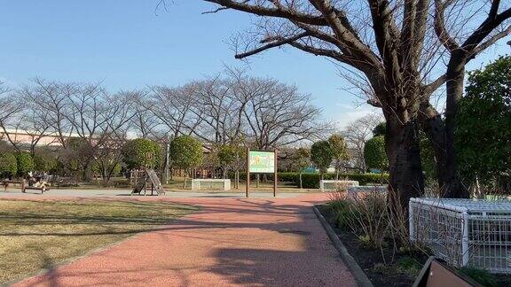 日本东京公园景观日