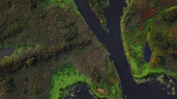湿地俯视图