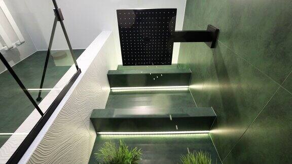 现代豪华浴室-绿色白色和黑色