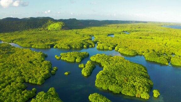 阿纳维哈纳斯群岛淹没了巴西亚马逊州内格罗河的亚马逊森林