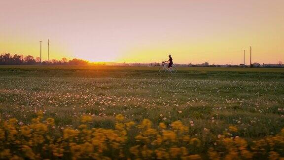 日落时在田野间骑自行车的人