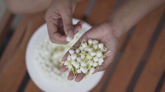 慢镜头年轻女子的手正在采摘白色的栀子花做花环