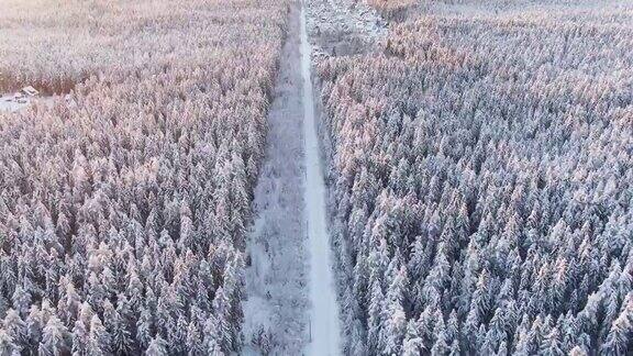 冬天被冰箱覆盖的森林与小路航拍