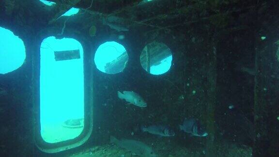 技术沉船潜水陈旧生锈的战时海军残骸仍在海底潜水员在海洋深处探索具有历史意义的世界大战军事沉船残骸