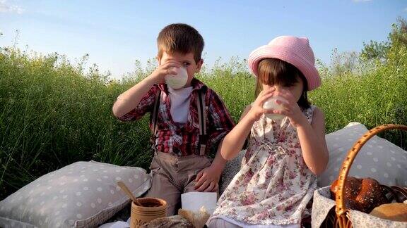 兄弟姐妹在新鲜的空气中玩耍为健康的孩子提供健康的食物孩子们在野餐一家人在大自然中休息