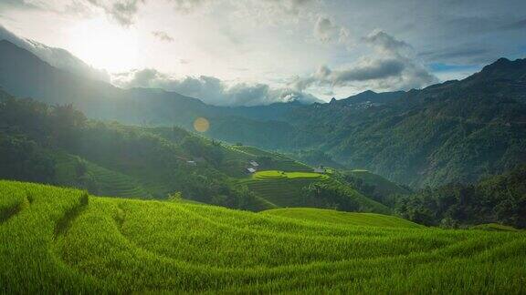 4k移动摄影延时拍摄的梯级稻田在日落在越南沙巴