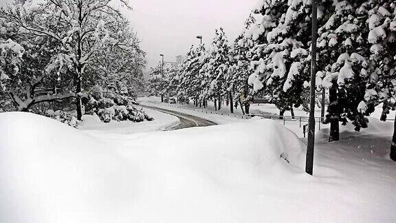 克罗地亚萨格勒布大雪和树木