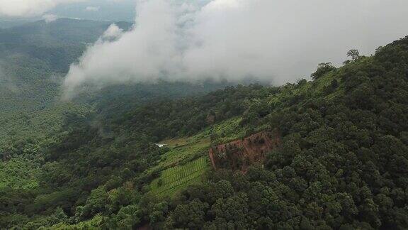 无人机鸟瞰泰国清迈地区绿色稻田的视频