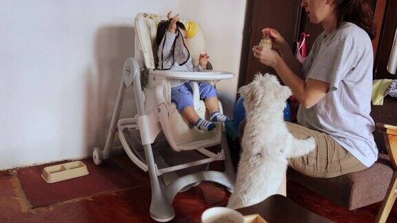 妈妈在婴儿椅上喂她可爱的小男孩饥饿的孩子开心地吃着早餐