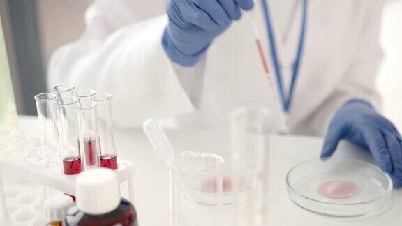 实验室工作人员研究血液样本以检测病理