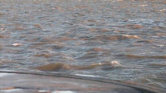多瑙河在大风天的慢镜头