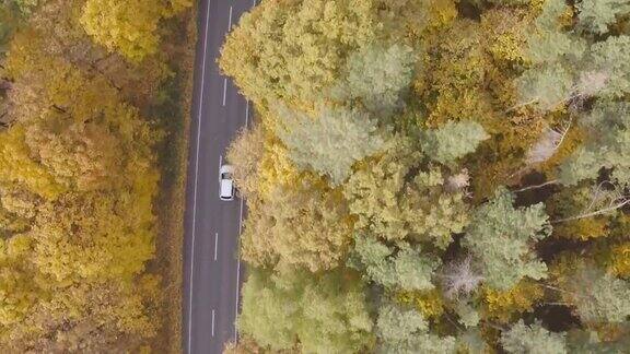 驾车穿越秋天的乡村道路在美丽的秋天汽车在乡间小路上行驶白色的越野车穿过风景优美的黄色秋天森林俯视图航拍