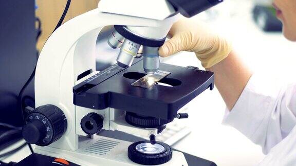 显微镜一种带样品的显微镜可以近距离观察