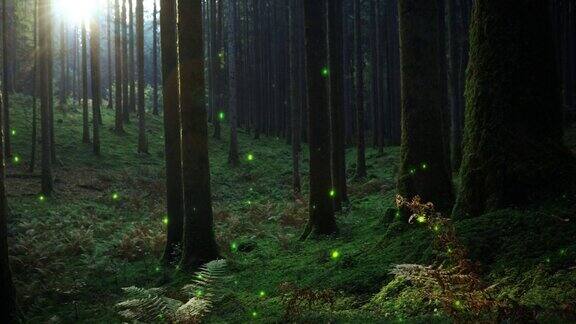 幻想萤火虫在童话般的苔藓森林景观