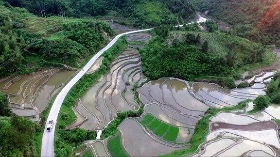 稻田在山上鸟瞰