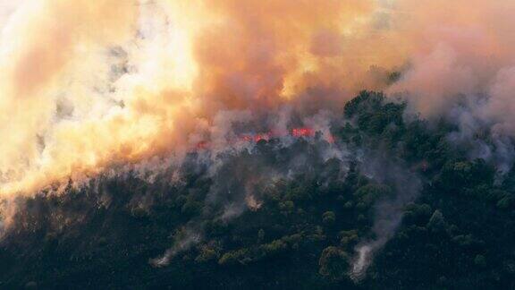 夏季野火或带烟的自然界大火无人机鸟瞰图