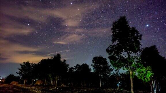 时间流逝视频:森林中的星星和夜空