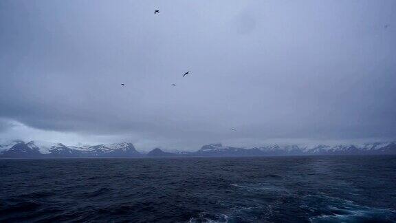 在一艘船的顶部可以看到南极洲