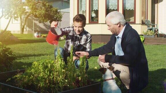 爷爷和孙子在给植物浇水