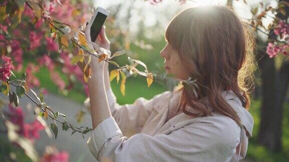 年轻迷人的红发女子在公园里用智能手机拍摄春天的樱花或樱花