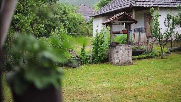 雨水拍摄于乡村环境选择性聚焦绿色植物自然之美春、夏