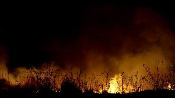 晚上野火森林燃烧的烟