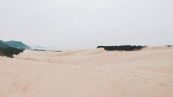 拍摄热带海滩附近的沙丘