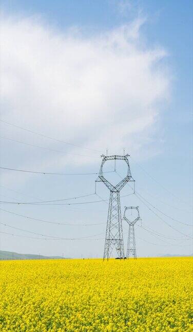 农田里建起了许多电塔