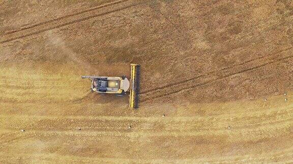 空中俯视图联合收割机在农村地区收获小麦