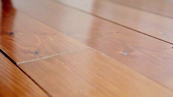 朵莉:硬木地板