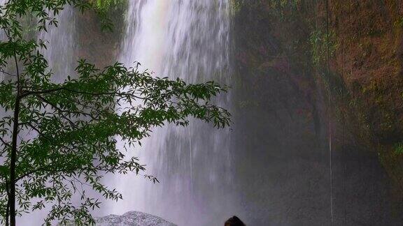 美丽的瀑布在大森林里