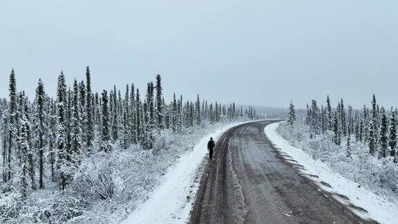 在加拿大育空地区徒步旅行的暴风雪后的冬季北方自然森林的鸟瞰图