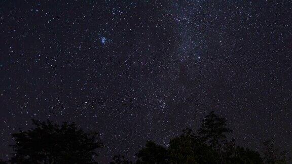 热带森林的夜空与移动的星星