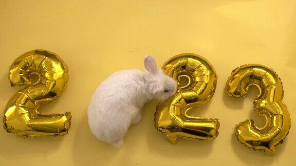 黄色背景上平放着数字2023形状的金色充气气球兔年白兔而不是零新年快乐贺卡