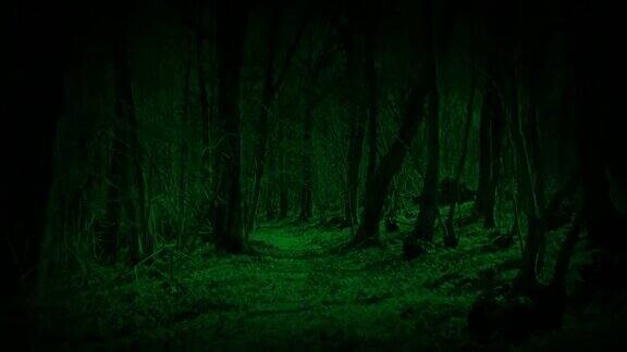 POV怪物在夜间穿过树林