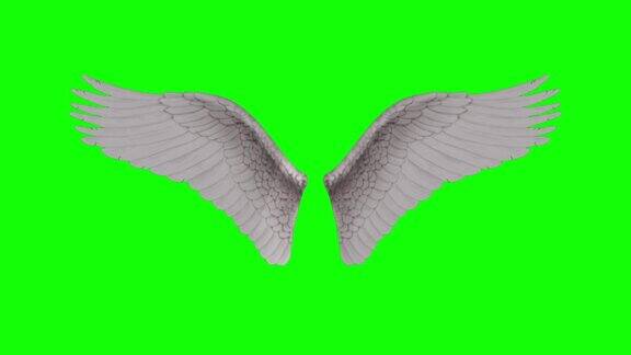 天使的翅膀α层包括在内毛圈