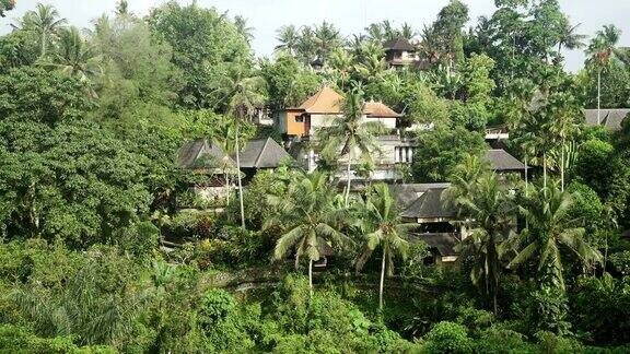 房子在丛林里房子坐落在山丘上的棕榈树之间