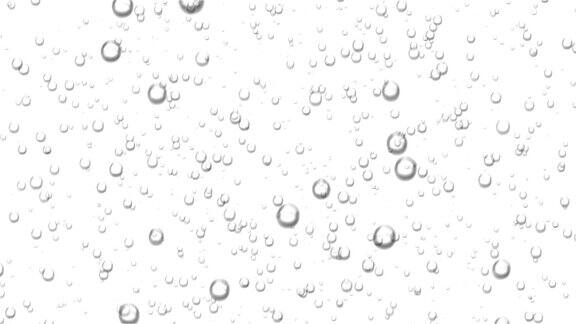 美丽的水泡泡上升可循环的3d动画闪闪发光的水在白色和黑色的背景HD1080