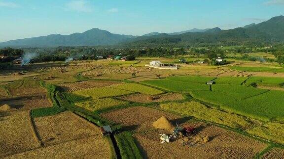 泰国北部的农民正在用机器收割山谷里的稻田