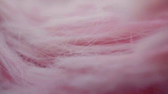 多莉拍摄微距:抽象的粉色羽毛特写微距