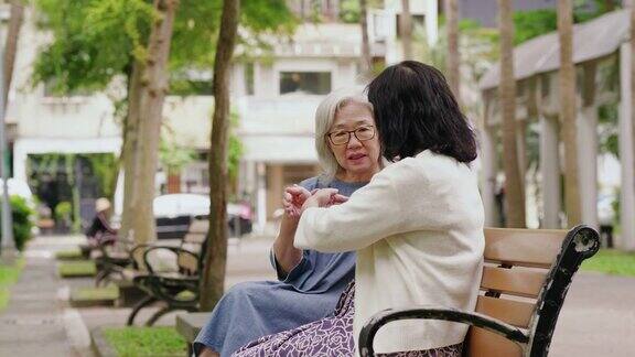 两个年长的女人在一个公园里聊天