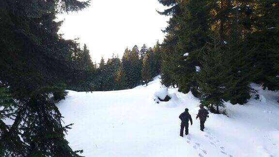 两个猎人拿着步枪走在白雪皑皑的森林里