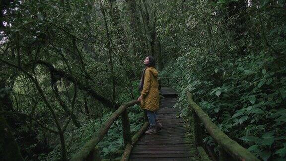 年轻的女探险家穿着黄色雨衣在绿色的热带森林中漫步在苔藓覆盖的木桥上
