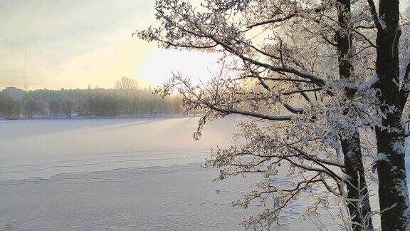 冬天的风景湖边的城市公园里白雪覆盖的树木日落时分雾蒙蒙的宝塔