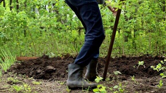 男人在花园里挖铲子