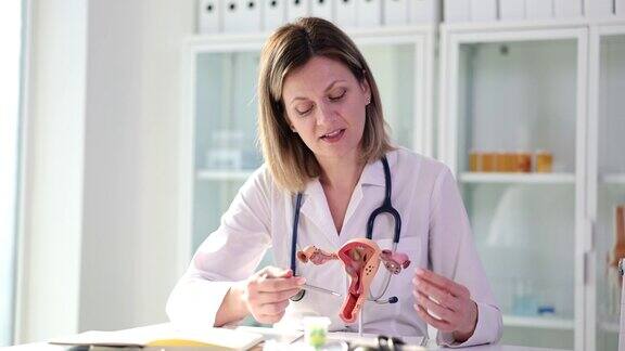 妇科医生在临床4k电影中展示人类子宫和卵巢人工模型上的疾病