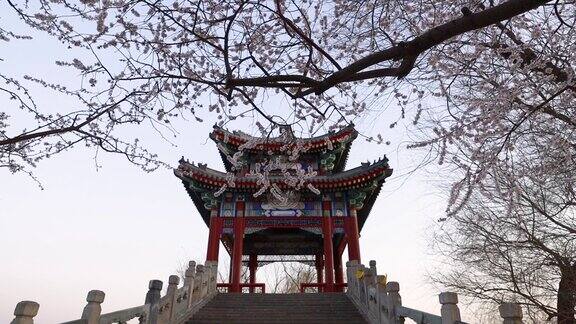 春天的北京颐和园