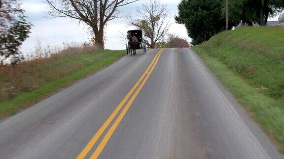 近景:开车经过阿米什人的马车在农业村庄旅行