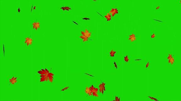 秋叶落在绿幕上