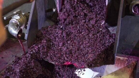 榨紫葡萄